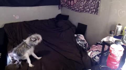 londonray online show from March 7, 11:23 pm