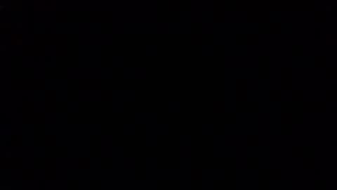 Lily online show from November 17, 7:31 am