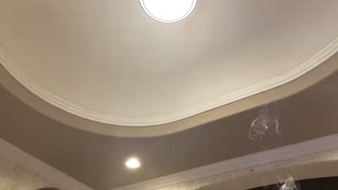 luckylee1992 online show from October 15, 5:54 am