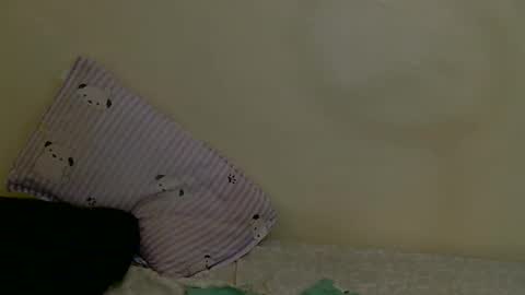 Luna online show from September 19, 12:59 pm