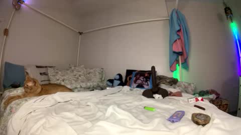 LOLA online show from May 9, 4:58 am