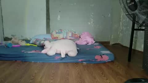 marie love you online show from February 11, 3:41 am