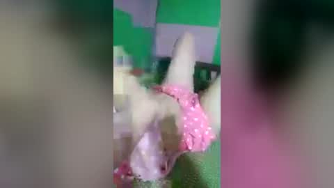 Lyly online show from July 1, 12:21 am