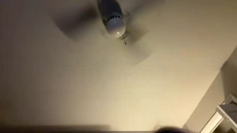 mackenzie4567 online show from July 29, 6:24 am
