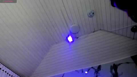 Madison online show from February 13, 11:17 am