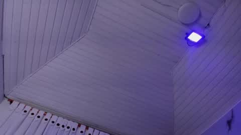 Madison online show from February 11, 11:31 am