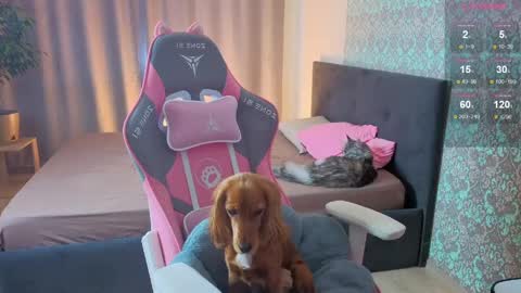 Merry online show from April 18, 2:14 am