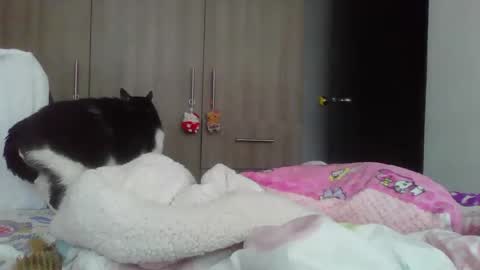 Snapshot of mal_norma chatting on January 14, 7:21 pm Mal Norma online show from January 14, 7:21 pm