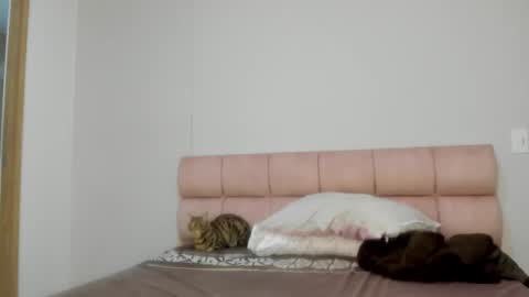 mara modelo independiente online show from January 8, 10:19 am