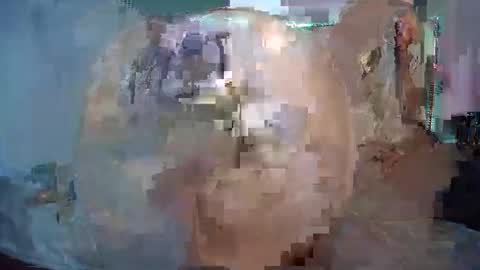 maraya_gold online show from November 23, 6:53 pm