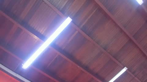 maria_turner1 online show from February 9, 1:02 pm