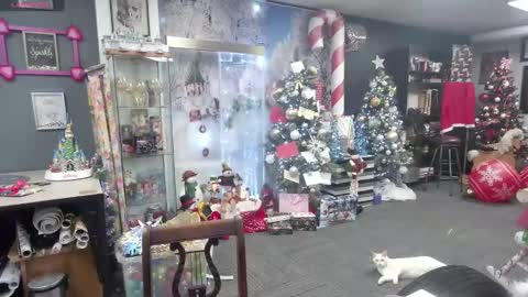 Marie Ann Waters online show from December 16, 4:38 pm