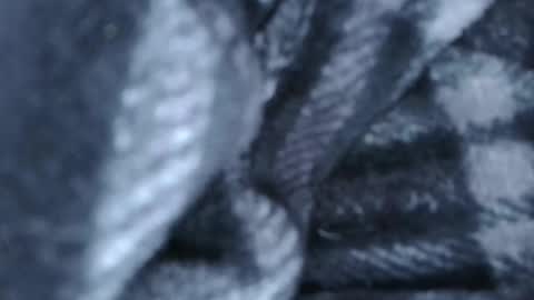 alex online show from March 28, 1:27 am