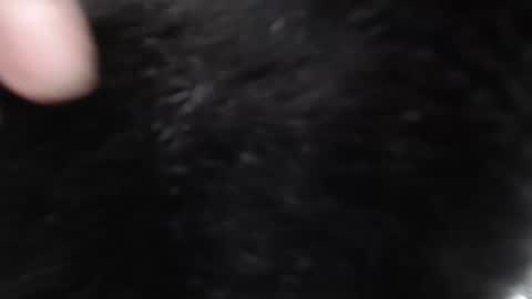 Desire online show from January 8, 9:10 am