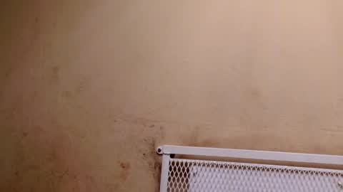 maturenesh online show from April 10, 7:47 am