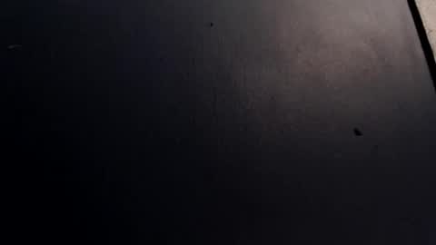 Max and Pam Voyeur Cam online show from January 29, 5:30 am