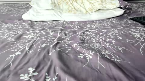 Snapshot of maybelline_666 chatting on September 21, 3:05 am Maybelline69 online show from September 21, 3:05 am