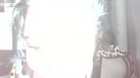 Snapshot of medjik_lool chatting on January 20, 7:25 am Oltereodora-lima online show from January 20, 7:25 am