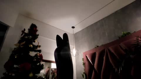 Snapshot of megan_inked_ chatting on December 8, 3:53 am online show from December 8, 3:53 am