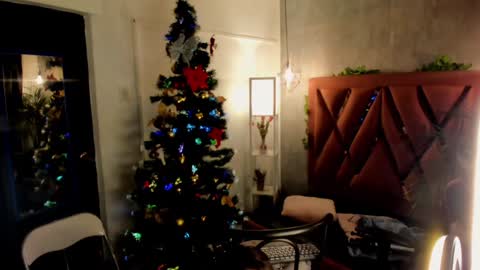 Snapshot of megan_inked_ chatting on December 19, 2:23 am online show from December 19, 2:23 am