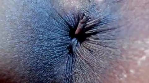 Snapshot of megan_stathan chatting on October 21, 12:14 am Megan online show from October 21, 12:14 am