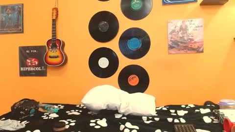 Snapshot of meisevil77 chatting on October 8, 2:38 am MEIS online show from October 8, 2:38 am