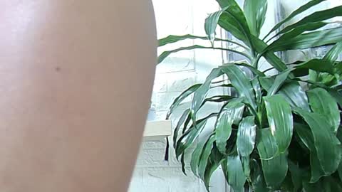 Snapshot of melisa_garcia chatting on January 23, 11:37 am Melissa online show from January 23, 11:37 am