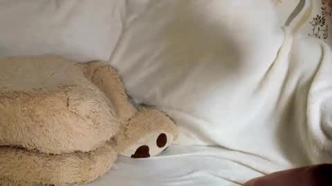 MelMooon online show from March 20, 8:58 pm