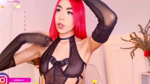 Melissa online show from January 24, 9:04 pm