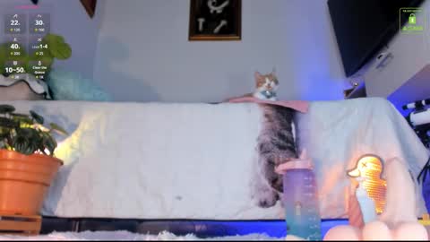 Snapshot of mia_starss chatting on October 28, 4:07 am Mia  online show from October 28, 4:07 am