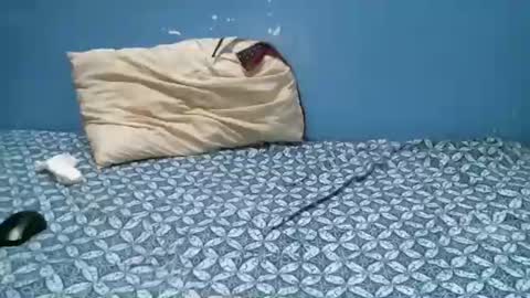 Caddy online show from October 1, 4:01 pm