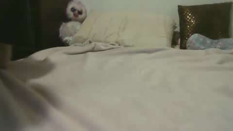 mikaimperial80800 online show from March 4, 6:15 am