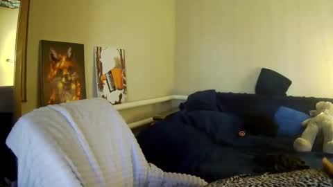 Milaxcute online show from September 14, 10:24 am