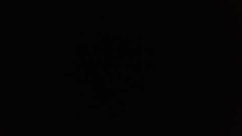 Rosalie  online show from October 6, 9:48 am