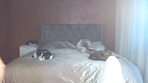 Misha online show from January 17, 2:46 pm