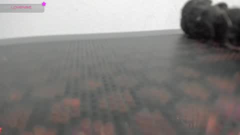 Vane online show from April 1, 11:13 pm