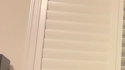 missreginababy online show from July 22, 3:40 am