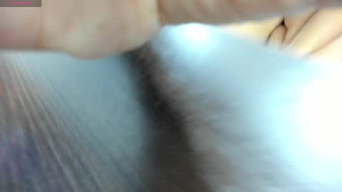 melisa online show from May 15, 3:32 am