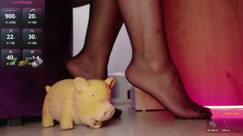 Jhadee online show from April 15, 12:17 pm