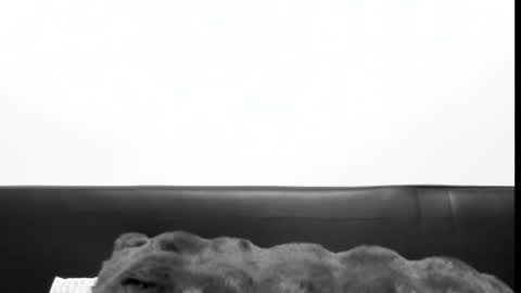 monicacure online show from October 27, 3:18 pm