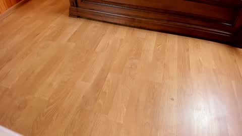 Snapshot of monika_gram chatting on January 25, 7:27 pm Monika NO c2c ever. PVT free Naked Fingering pussy doggy or standing BJ HJ Feet Fashion. PVT extra Toy control 400tk. online show from January 25, 7:27 pm