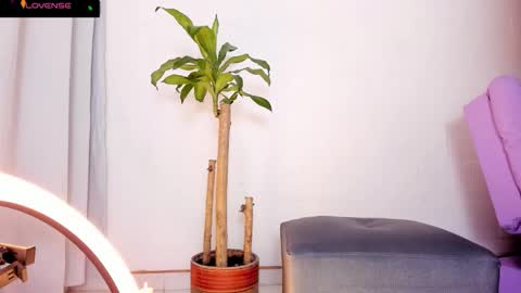 monikk__harrison online show from October 23, 10:43 am