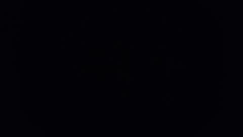 C online show from November 13, 11:20 am