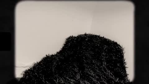 Snapshot of msprissylynx chatting on October 4, 3:45 am Adela Rose MsPrissyLynx online show from October 4, 3:45 am