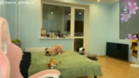 Snapshot of na_prikole_ chatting on October 24, 5:20 pm Vanessa and Julia  online show from October 24, 5:20 pm