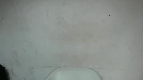 nastyhairy7 online show from September 26, 1:42 pm