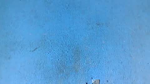 Nathy online show from February 26, 5:03 am