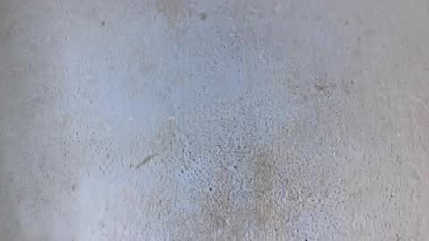 Nathy online show from February 24, 8:47 am