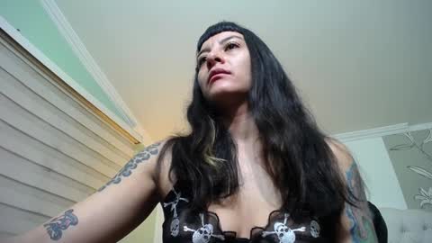 Kitten online show from January 3, 11:14 am