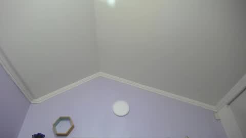 Kitten online show from January 25, 11:35 am